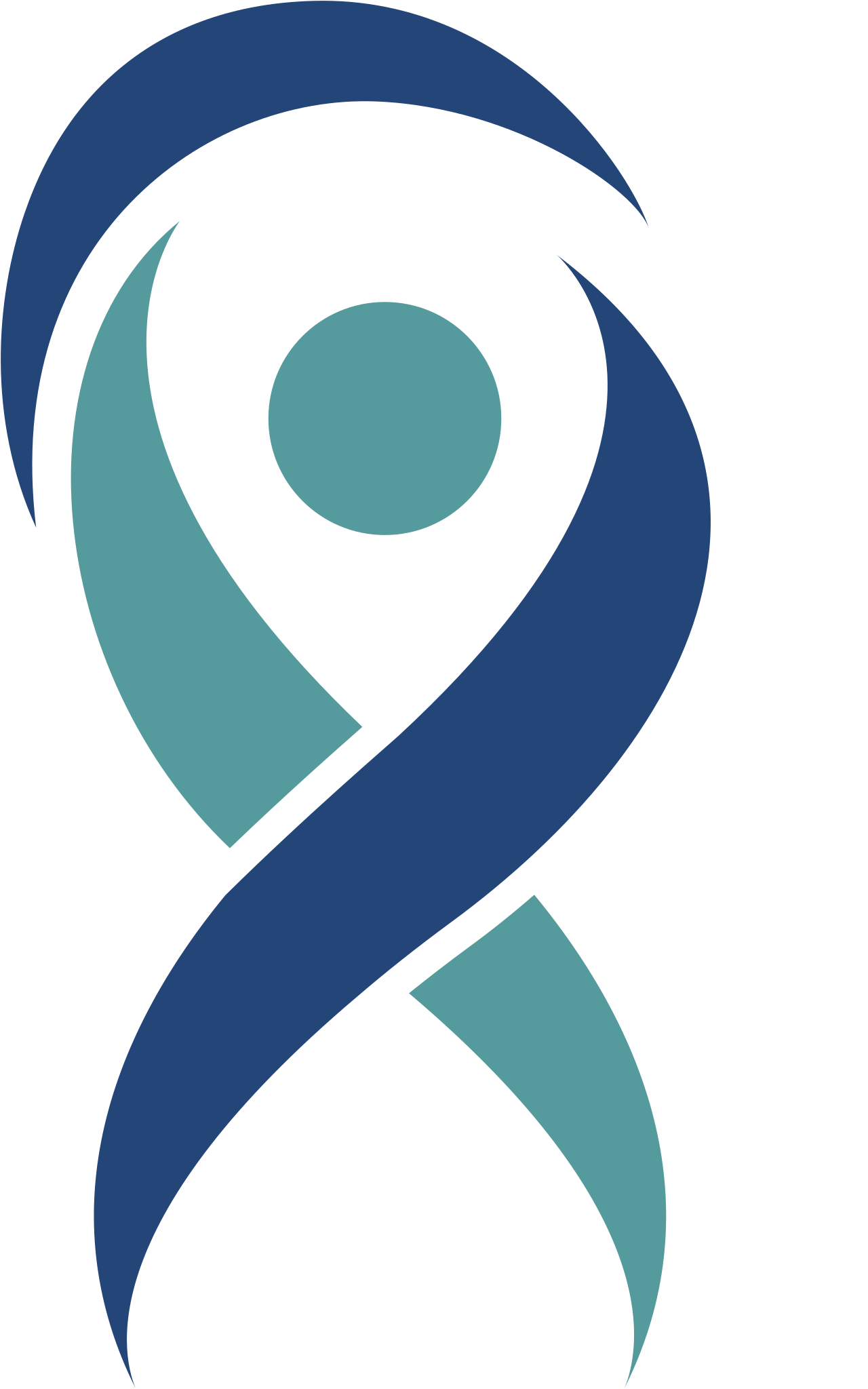 Care Assistant Pro logo